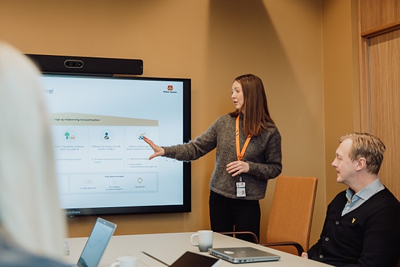 Bilde 2 av 3 i jobbannonse-galleriet