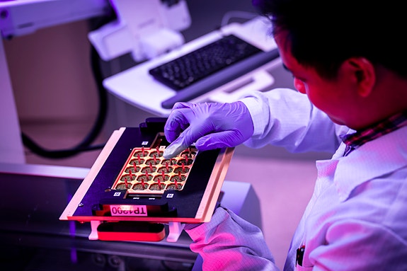 Bilde 3 av 9 i jobbannonse-galleriet