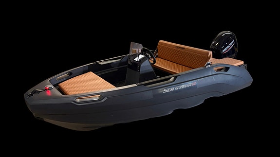 SeaStorm 13 s HPDE Advantage powered by Mercury F 40 ELPT EFI - Nyhet 2026! 5 of 15