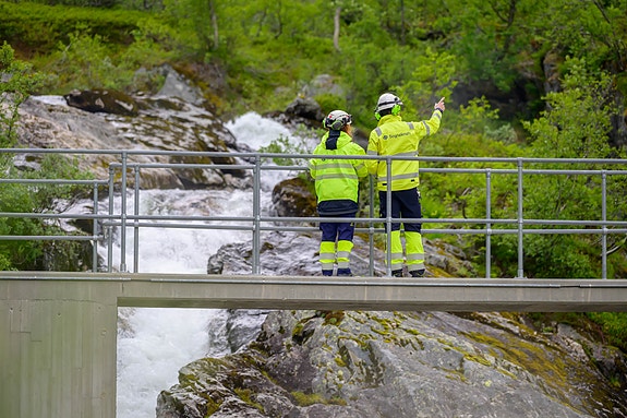 Bilde 2 av 5 i jobbannonse-galleriet