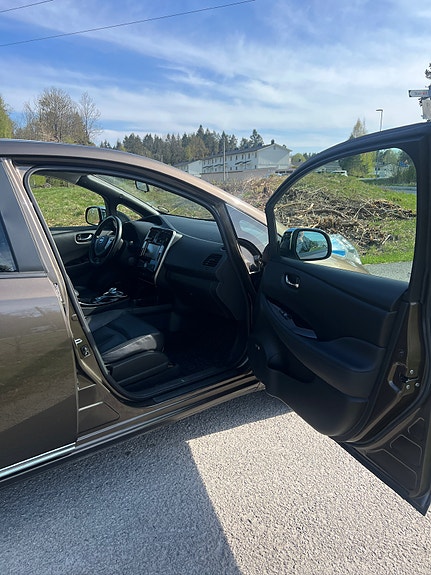 Nissan Leaf 29 of 30