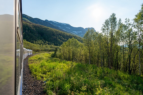 Bilde 4 av 5 i jobbannonse-galleriet