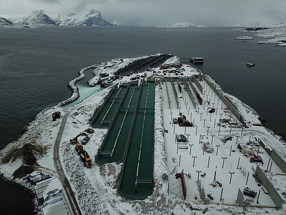 Bilde 9 av 10 i jobbannonse-galleriet