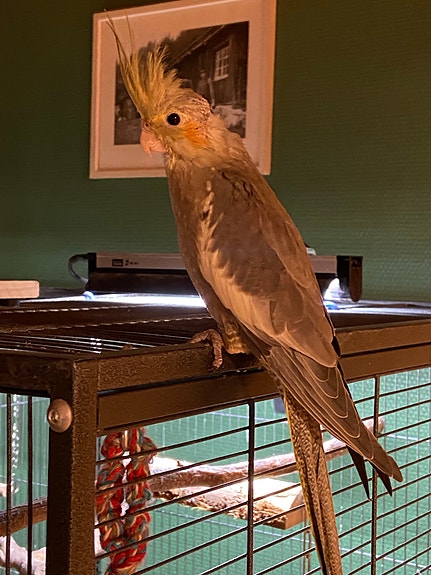 Product image 6 of 10