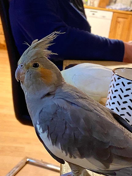 Product image 4 of 10