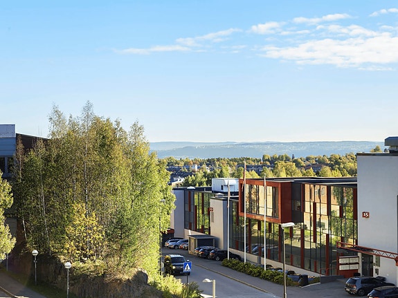 Bilde 2 av 4 i jobbannonse-galleriet