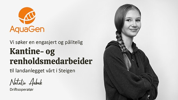 Bilde 1 av 1 i jobbannonse-galleriet