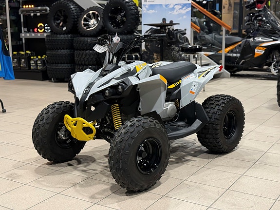 Can-Am RENEGADE 110 EFI