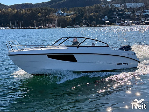 AMT 210 DC med Yamaha F150