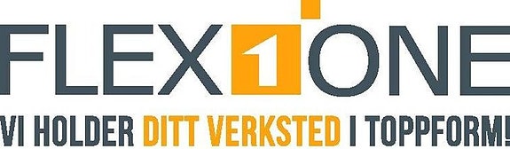 FLEX1ONE AS logo