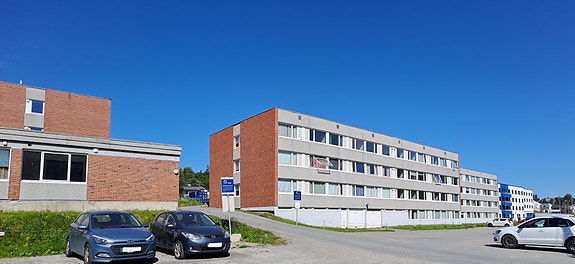 Bilde 1 av 4 i jobbannonse-galleriet