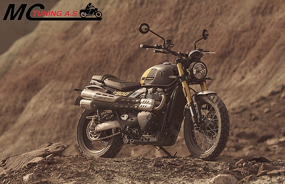 Triumph Scrambler 900