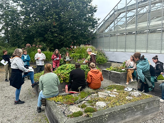 Pensumfelt for mange av våre studier.