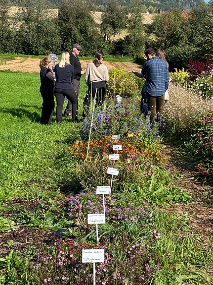 Vea er en populær skole med stort lærlingsarena utendørs