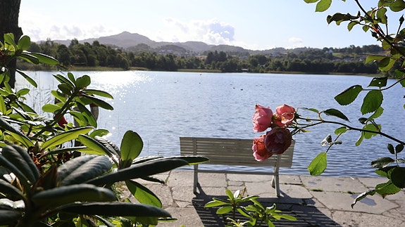 Bilde 3 av 4 i jobbannonse-galleriet