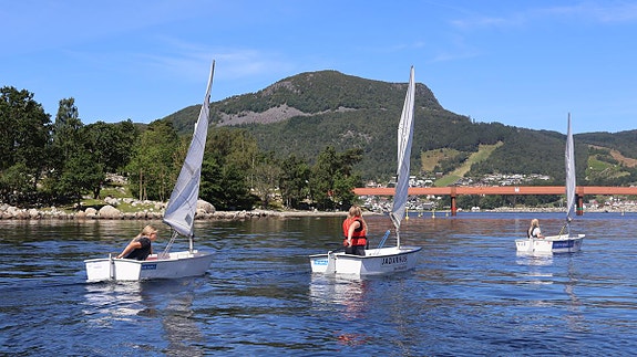 Bilde 2 av 3 i jobbannonse-galleriet