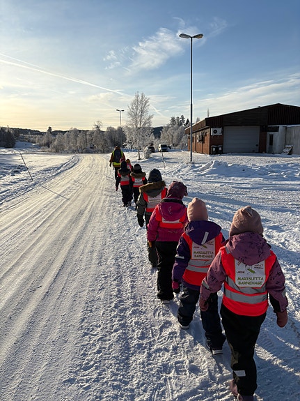 Bilde 1 av 1 i jobbannonse-galleriet