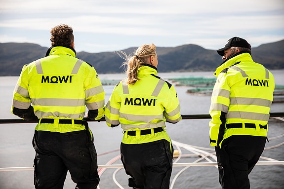 Bilde 3 av 3 i jobbannonse-galleriet