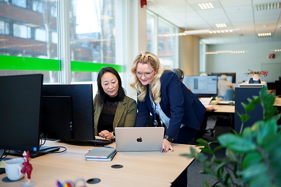 Bilde 2 av 4 i jobbannonse-galleriet