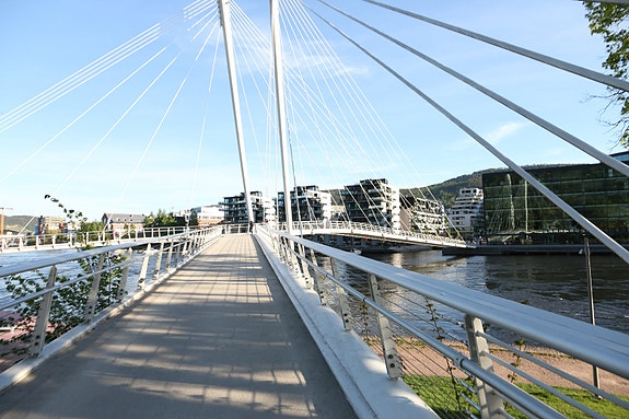 Buskerud fylkeskommune, Fylkeskommunedirektør logo