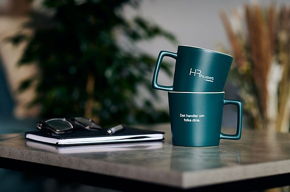 Bilde 2 av 3 i jobbannonse-galleriet