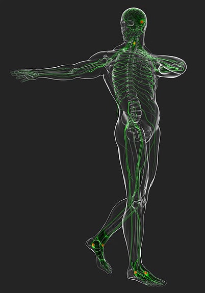 Bilde 6 av 6 i jobbannonse-galleriet