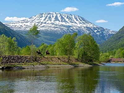 Sykehuset Telemark HF logo