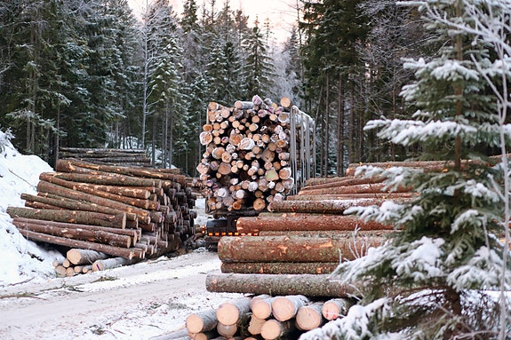 Bilde 8 av 9 i jobbannonse-galleriet