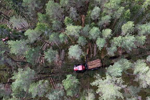 Bilde 7 av 9 i jobbannonse-galleriet