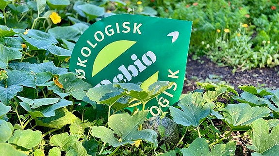 Bilde 1 av 5 i jobbannonse-galleriet