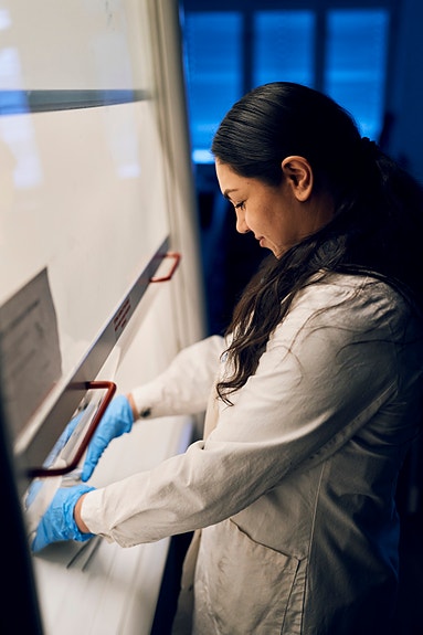 Bilde 3 av 4 i jobbannonse-galleriet