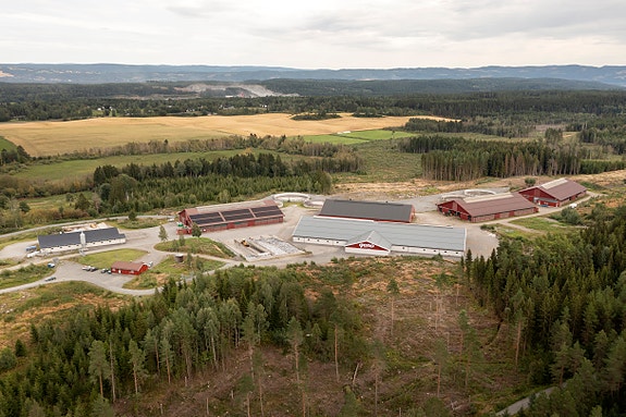 Bilde 2 av 2 i jobbannonse-galleriet