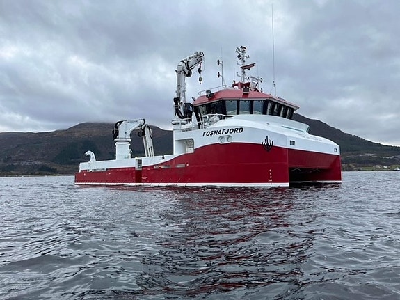 Bilde 1 av 1 i jobbannonse-galleriet