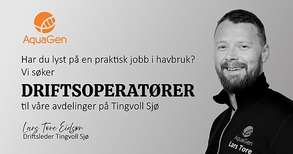 Bilde 1 av 1 i jobbannonse-galleriet