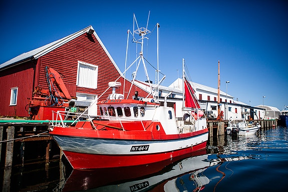 Bilde 4 av 5 i jobbannonse-galleriet