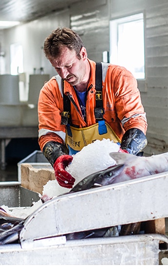 Bilde 1 av 5 i jobbannonse-galleriet