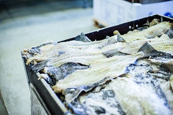 Bilde 4 av 5 i jobbannonse-galleriet