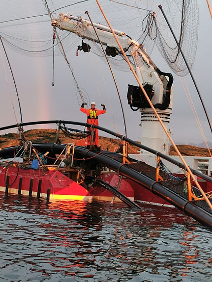 Bilde 1 av 1 i jobbannonse-galleriet