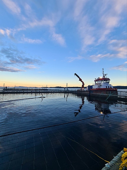 Bilde 1 av 1 i jobbannonse-galleriet