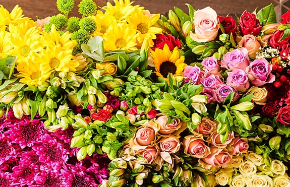 Bilde 1 av 3 i jobbannonse-galleriet