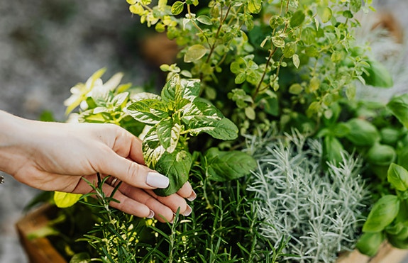 Bilde 3 av 3 i jobbannonse-galleriet