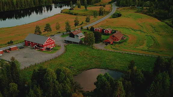 Bilde 2 av 10 i jobbannonse-galleriet