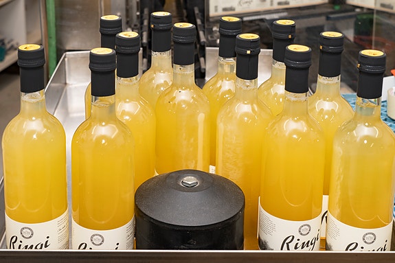 Bilde 3 av 6 i jobbannonse-galleriet