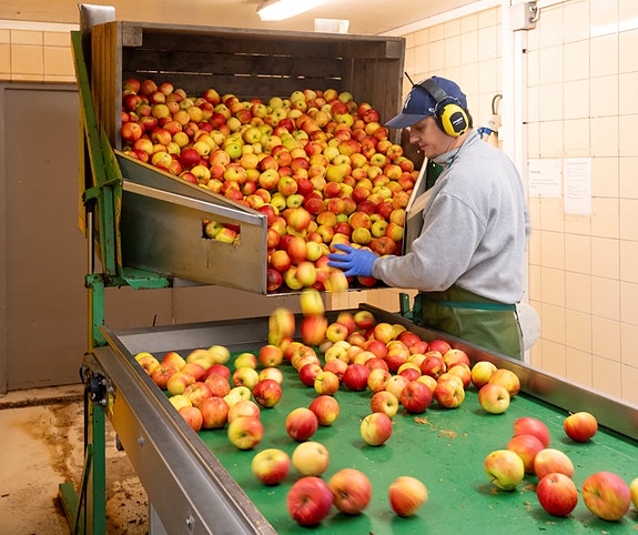 Bilde 1 av 6 i jobbannonse-galleriet
