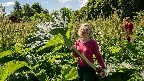 Bilde 6 av 6 i jobbannonse-galleriet