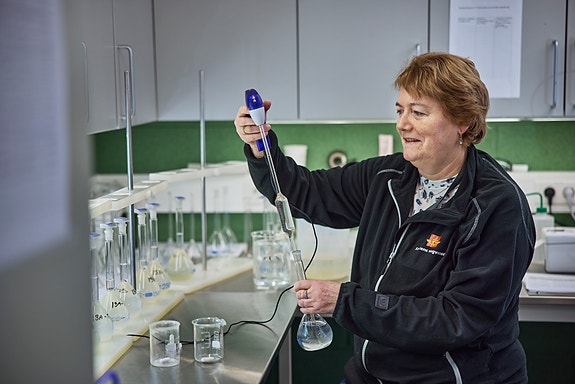 Bilde 2 av 4 i jobbannonse-galleriet