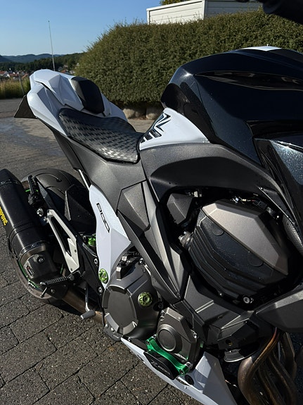 Kawasaki 2013 3 of 6