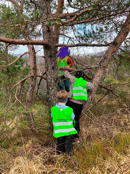 Bilde 8 av 8 i jobbannonse-galleriet