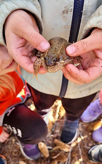 Bilde 7 av 8 i jobbannonse-galleriet