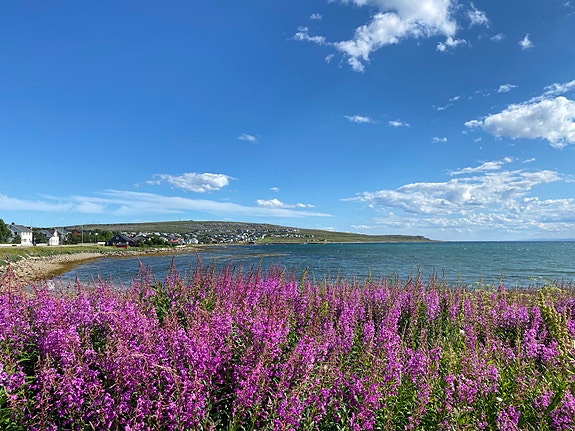 Sommer i Vadsø (foto: Anna S. Rognmo)